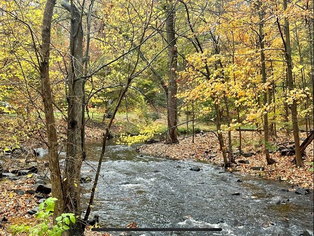 Beautiful creek flowing through an autumn forest in Connecticut.