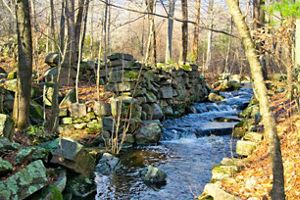 Canonchet Brook Preserve | The Nature Conservancy in Rhode Island