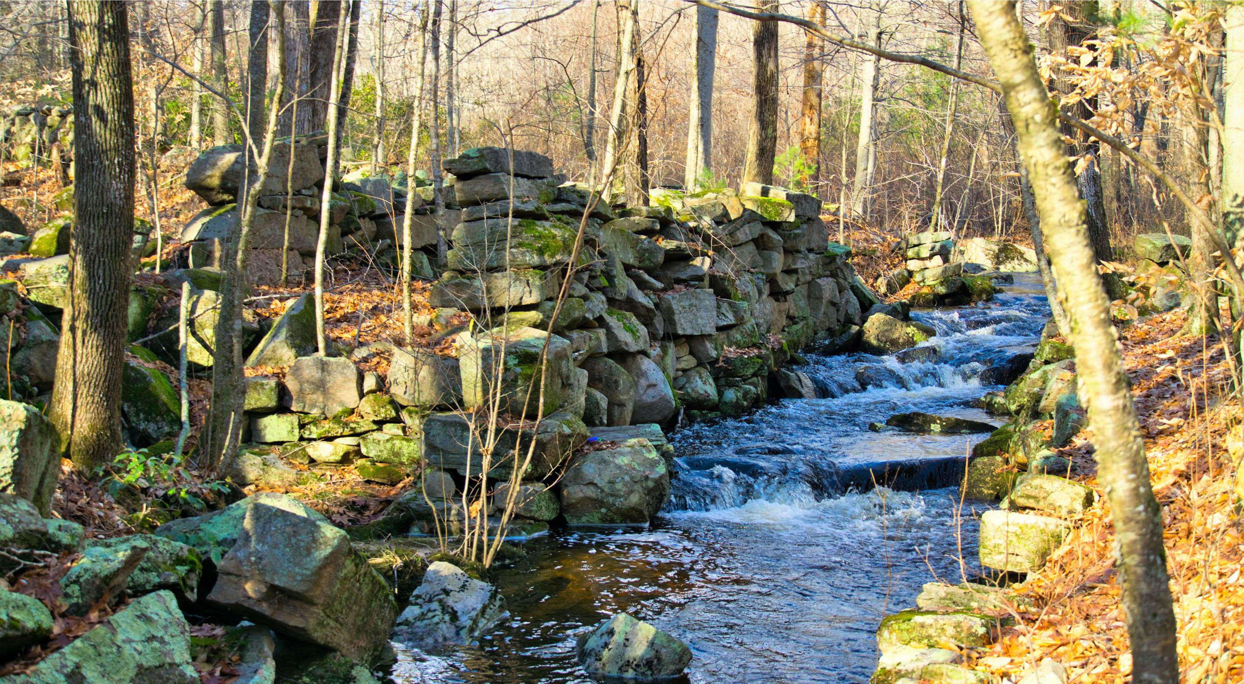 A small stream flows through the stone ruins of an old mill surrounded by forest.