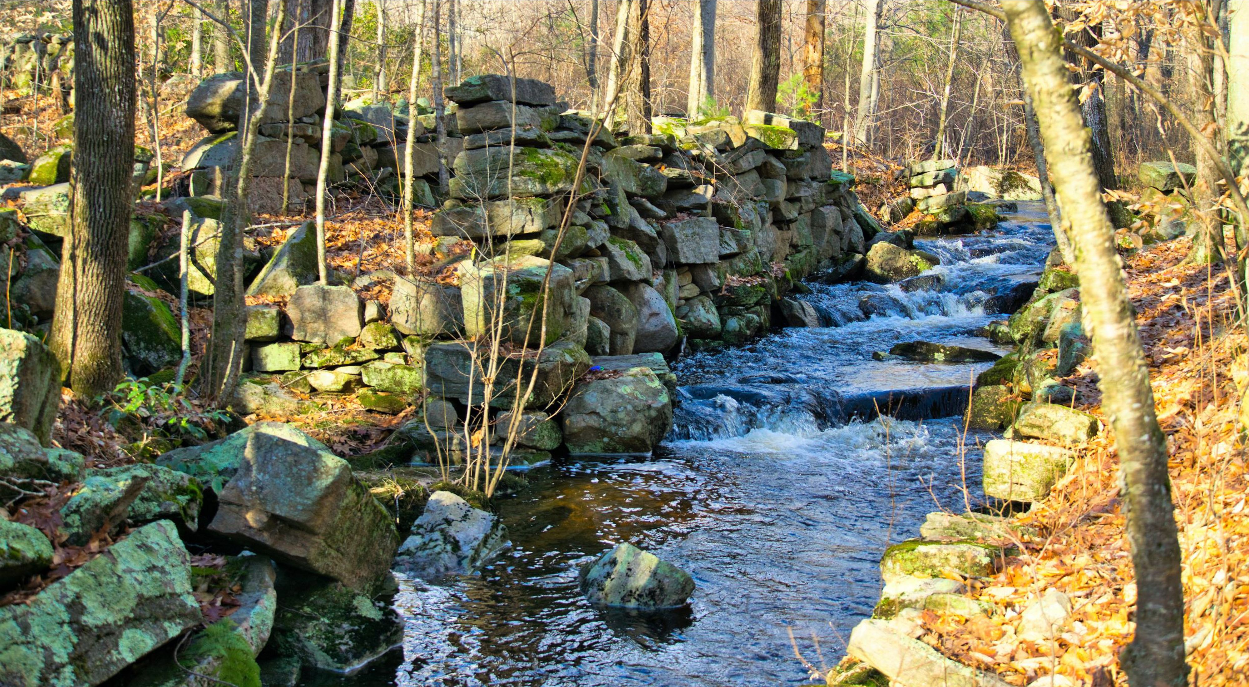 A small stream flows through the stone ruins of an old mill surrounded by forest.