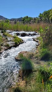 Water rushing down Cascade Creek at Whitney Preserve.