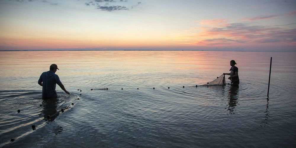 Two people work to set fish traps in Lake Erie at sunrise.