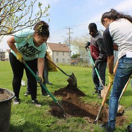 Three youths plant trees in Bridgeport.