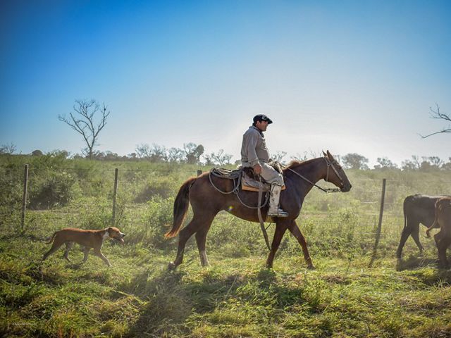 A man on horseback surveys his farm