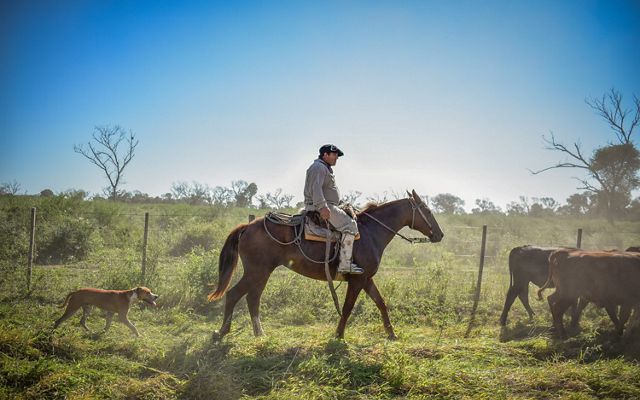 A man on horseback surveys his farm