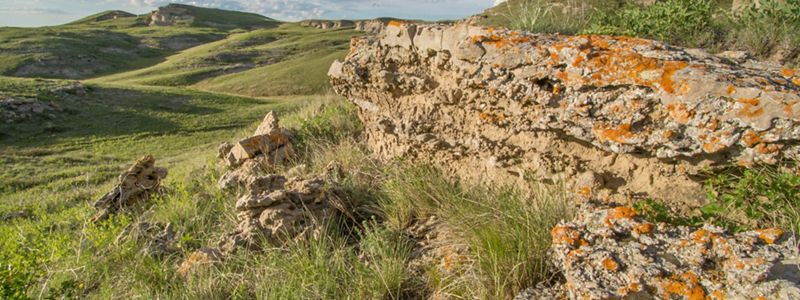 Moss-covered rocks jut out amidst a vast rolling green landscape.