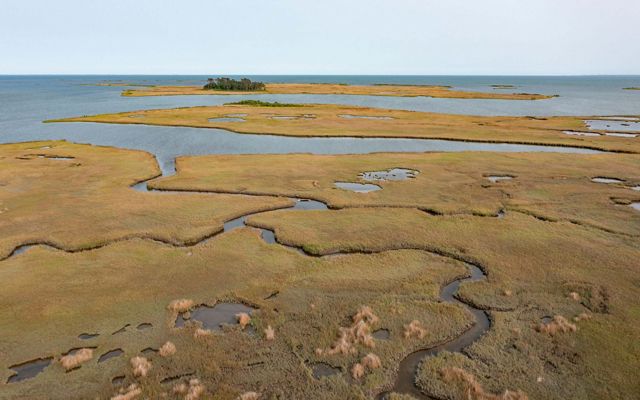 Aerial view of saltwater marsh. 
