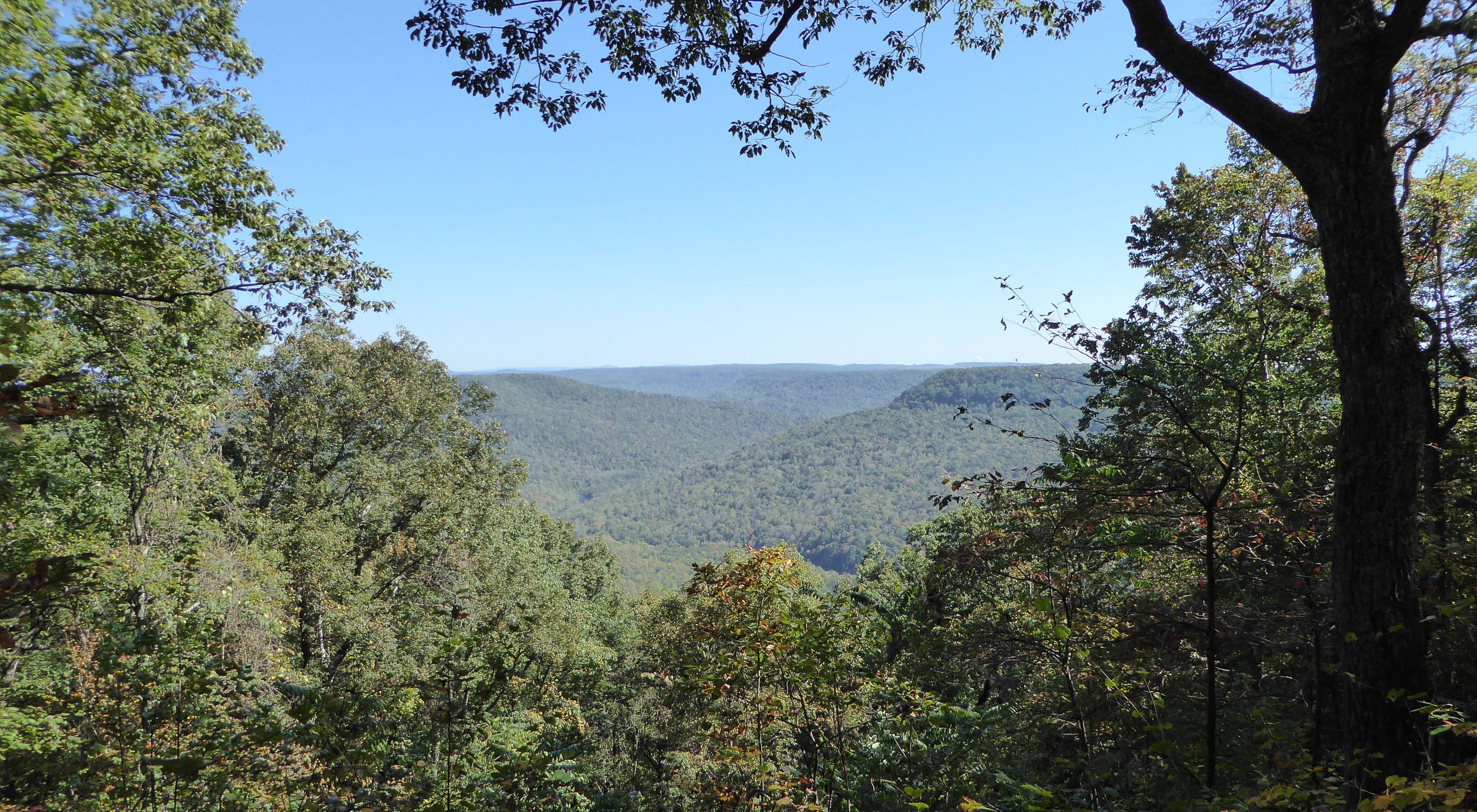 Trees frame the view of a forested valley below.