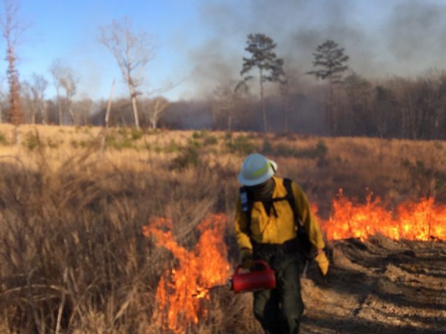 A man in a yellow vest and helmet sets a grassland on fire.