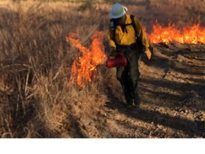 A person dressed in yellow and wearing a helmet applies fire to a dry landscape.