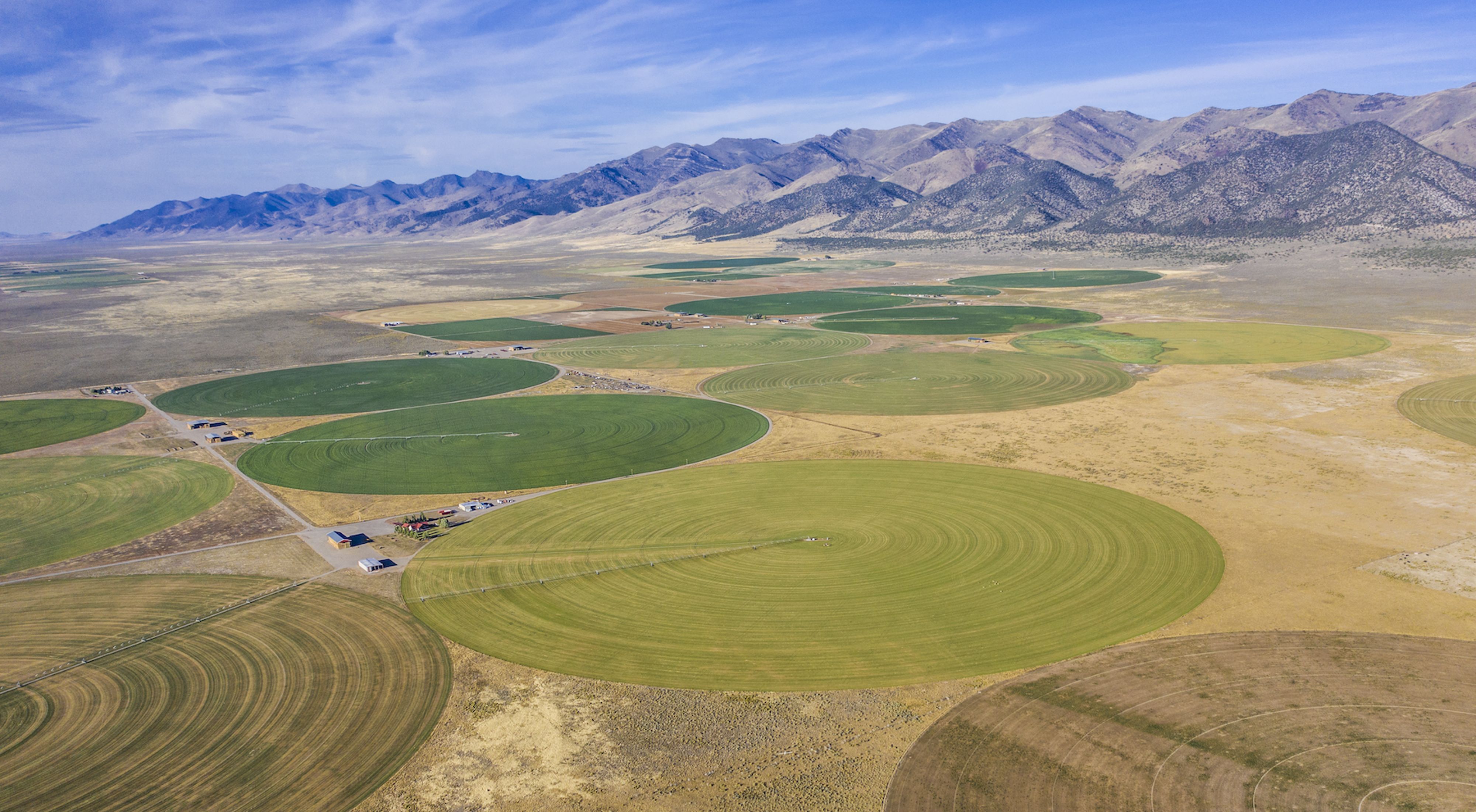 Aerial view of agricultural fields in Diamond Valley, with a mountain range in the background.
