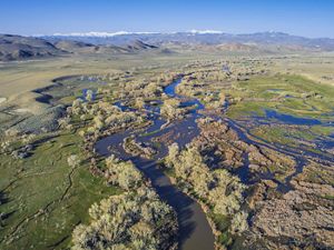 Aerial view of wetlands in the Lahontan Valley in northern Nevada. 
