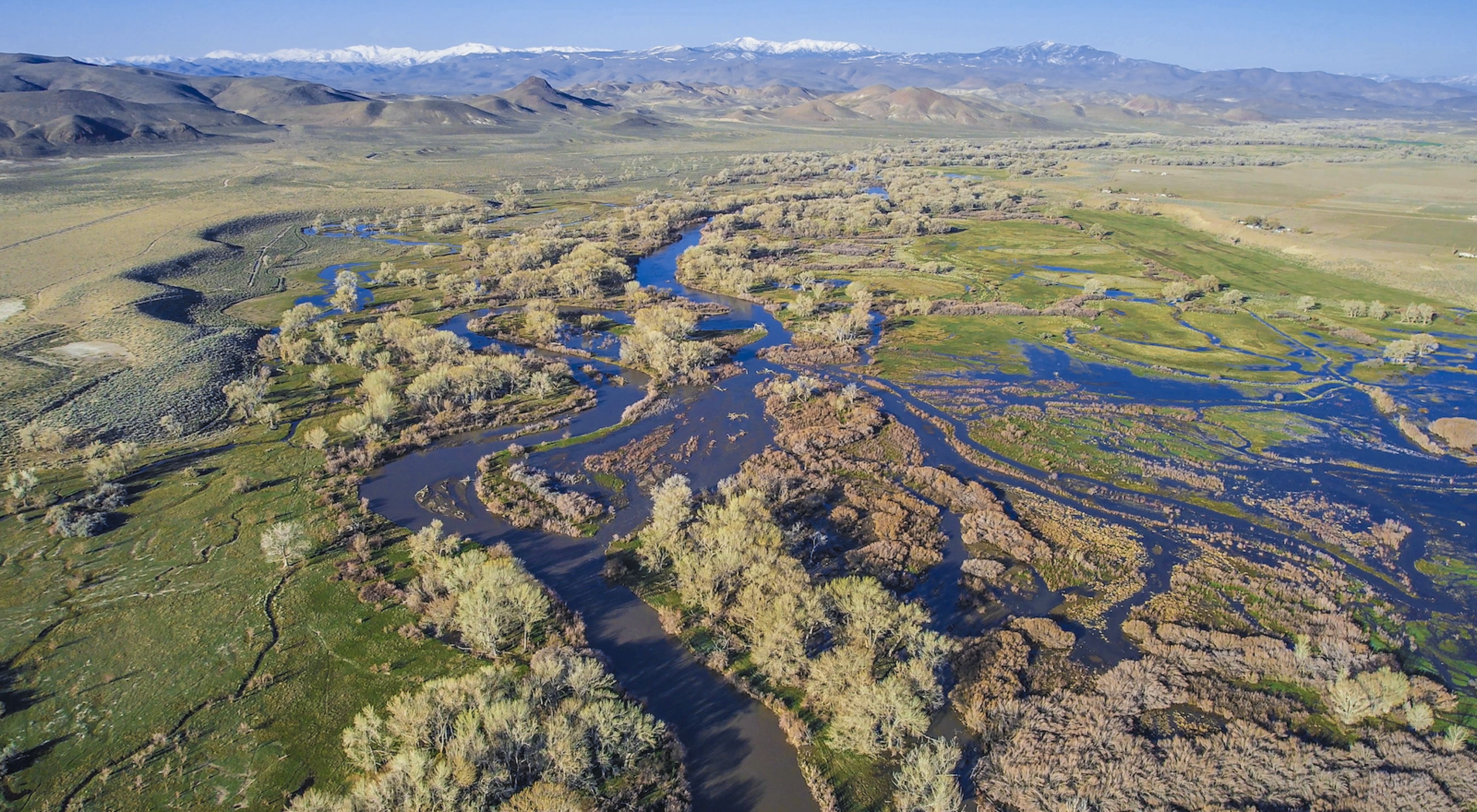 Aerial view of wetlands in the Lahontan Valley.