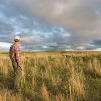 Man stands in tallgrass looking at the horizon.