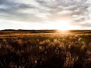 Sun rises in the horizon over a tallgrass prairie