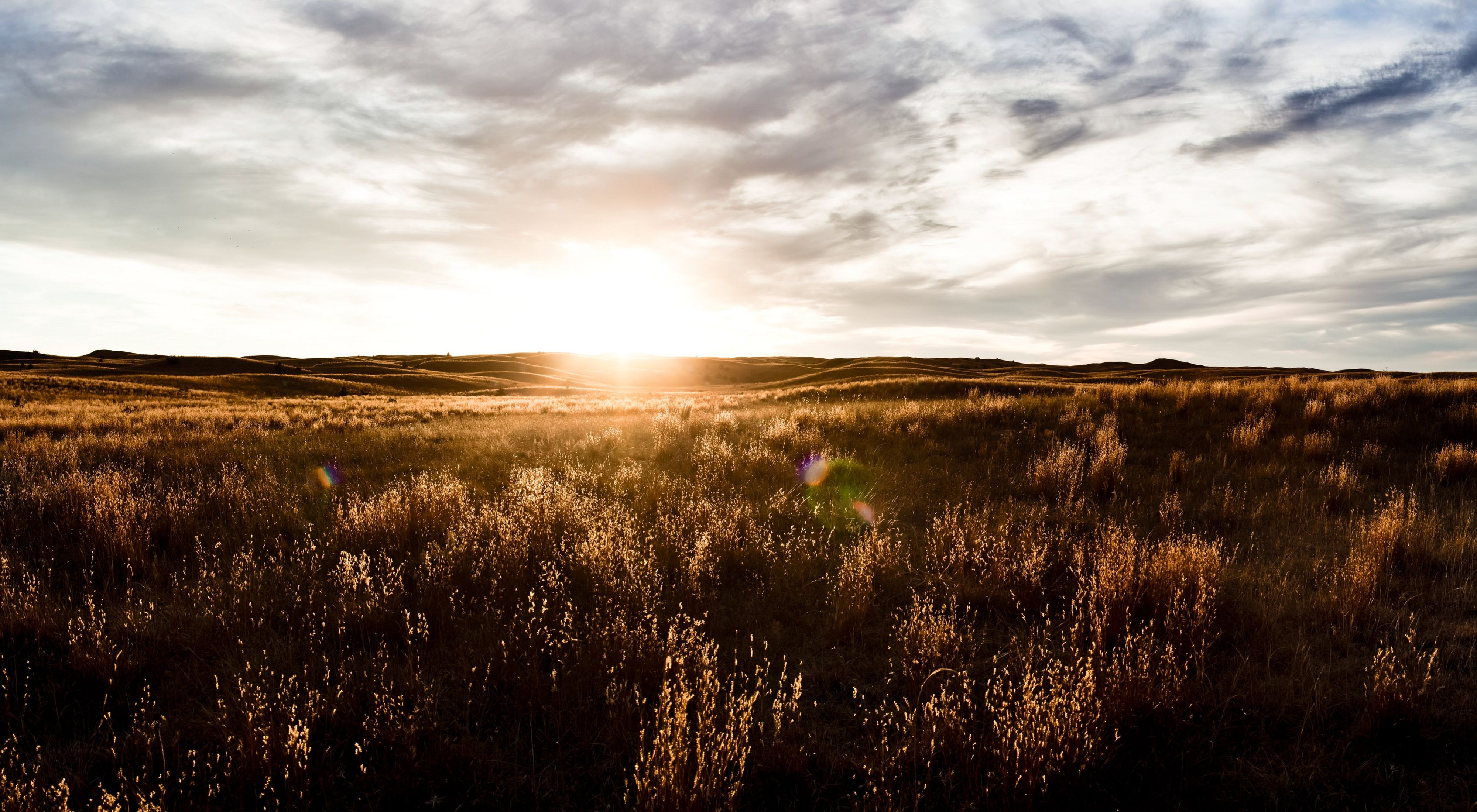 The sun sets along the horizon of a wide expanse of grassland, turning the landscape a golden brown color.