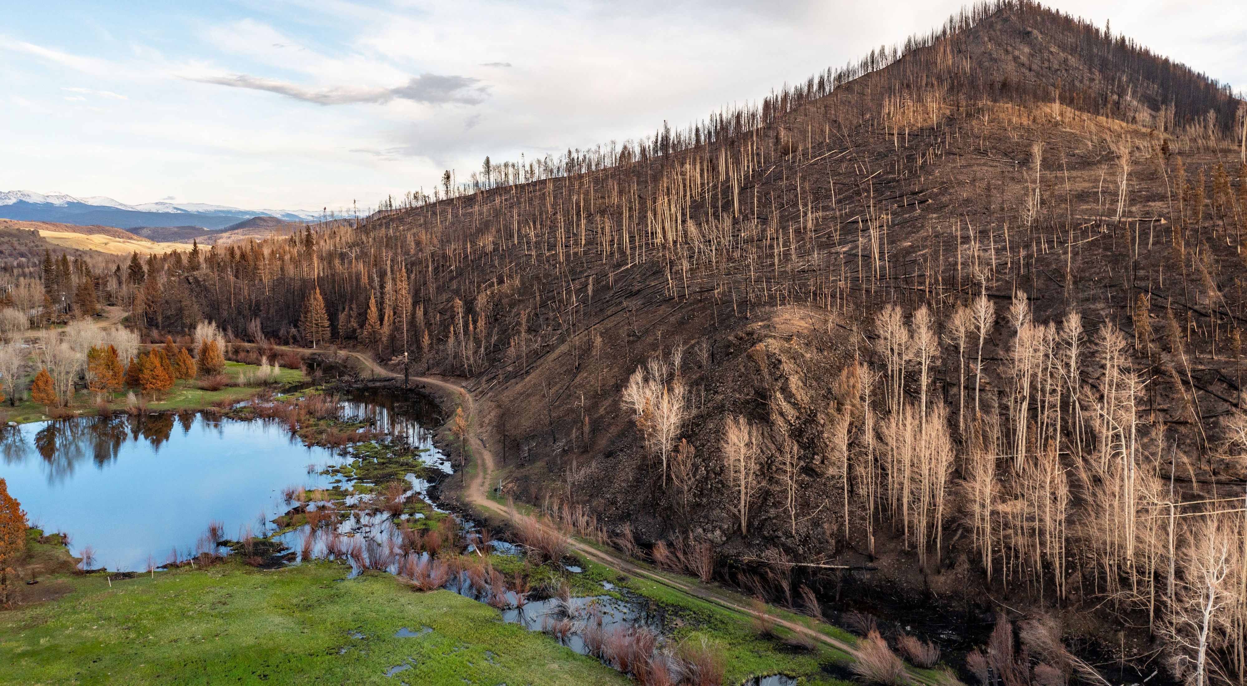 Bare, black and brown earth and dead, burned trees on a hillside sloping down to pools of water.