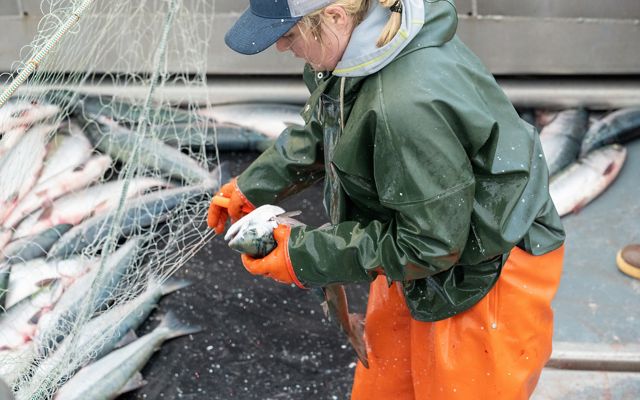 A fisherwoman in bright orange rain pants and a green rain jacket holds a fish on a boat deck that has other fish in a large net on it.