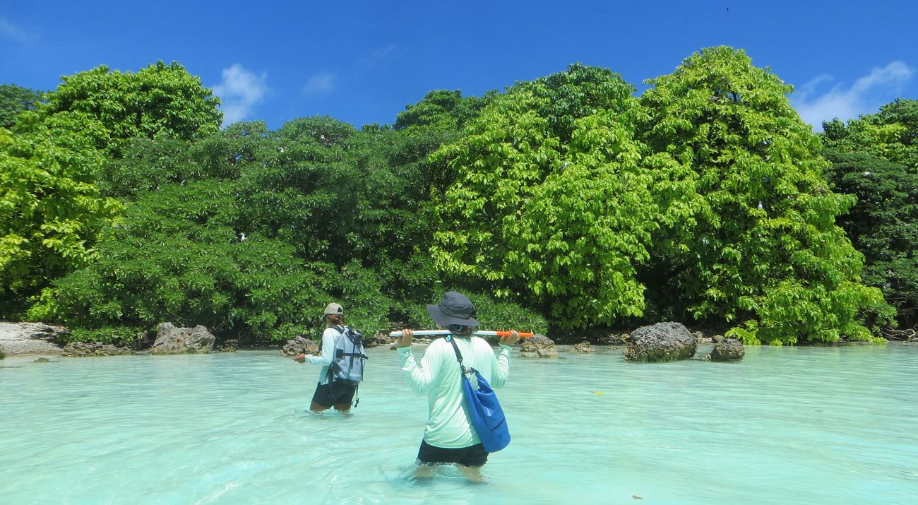 Conservation Science Volunteers navigating to their field site at Palmyra Atoll.