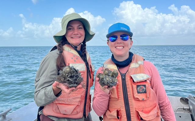 Two women stand on a boat in the ocean holding clusters of oysters.