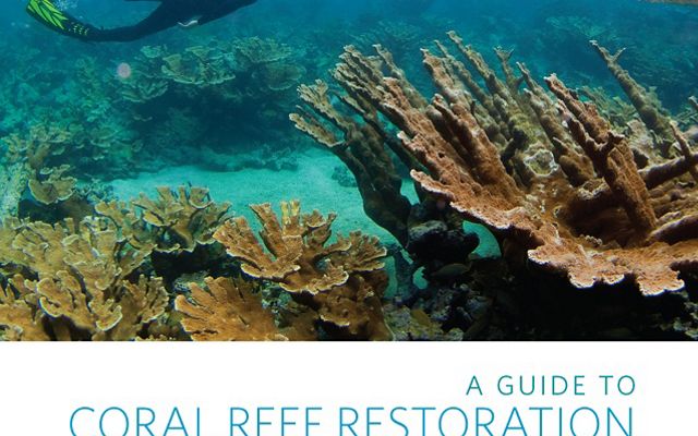 Cover of coral reef restoration guide for tourism sector.