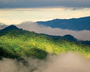 Tropical dry forest during the wet season at the Karen Mogensen F. Reserve which is situated within the protected zone of the Nicoya Peninsula.