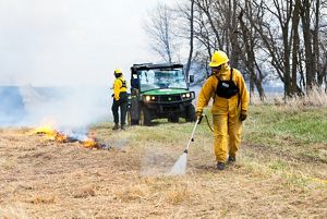 A person outdoors spraying water on a mowed fire line.