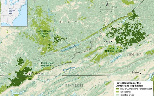 Through this innovative project, The Nature Conservancy is managing 253,000 acres of forest across Kentucky, Tennessee and Virginia.