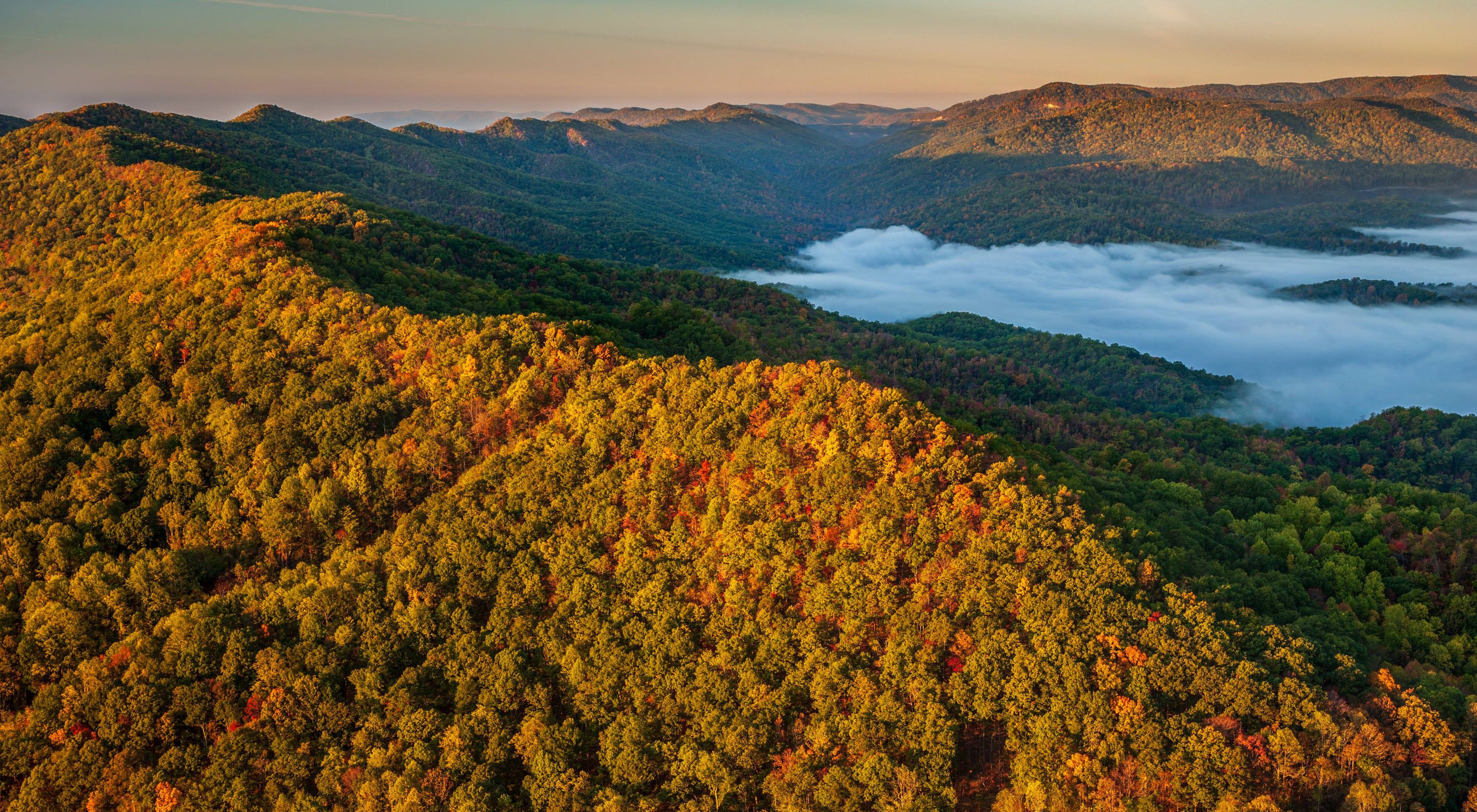 A mist rises up next to a colorful forested ridge.