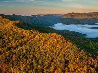 A mountain ridge colored by trees boasting autumn leaves rises above the clouds.