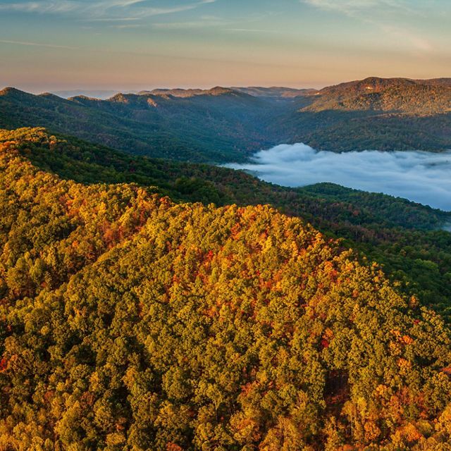Aerial view of a vast landscape of a mountain range thickly forested with autumn-colored trees. Dense fog is settled in a valley created by the mountain ranges.