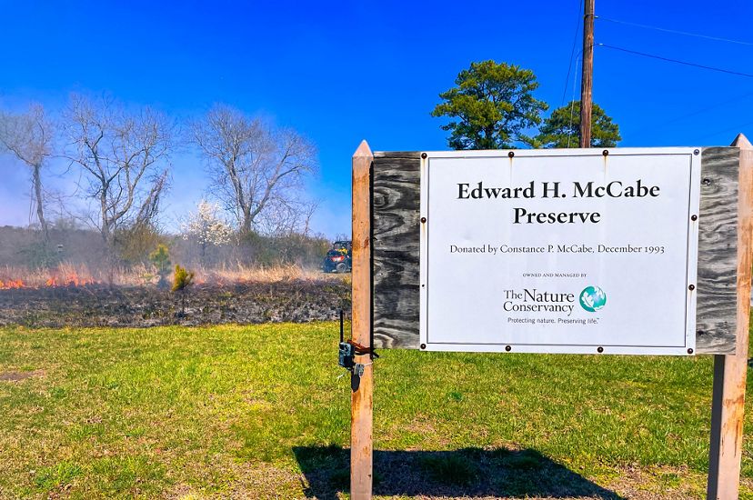 A sign featuring the words "Edward H McCabe Preserve" sits in front of a grassy field with a small fire in the background.