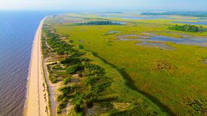 An aerial view of a coast line with marshes and greenery.