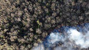 Aerial view looking down into a thick forest. White smoke rises from the thin line of orange fire that is advancing along the ground during a controlled burn.