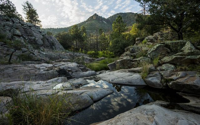 Lush green trees and grasses dot the rugged landscape of the Davis Mountains.