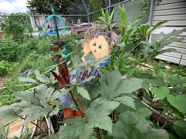 a scarecrow with a smile sits in a planter of a small garden