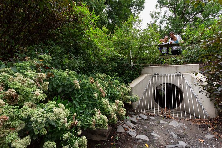 A woman and two small children stand on a foot bridge looking down as a stormwater culvert. The opening under the bridge is shielded by a metal grate designed to catch large debris.