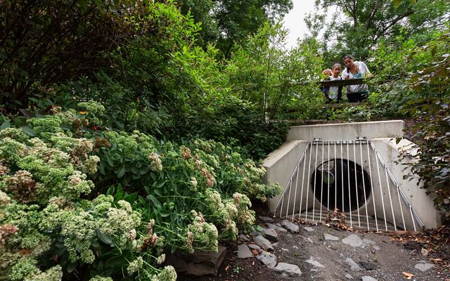 A woman and two small children stand on a foot bridge looking down as a stormwater culvert. The opening under the bridge is shielded by a metal grate designed to catch large debris. 