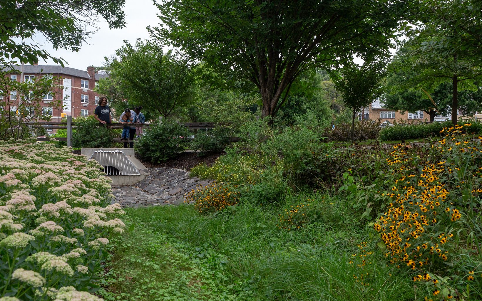 Stormwater retention garden Kemble Park in Philadelphia added a culvert and plants to help retain stormwater. © Steve Weinik