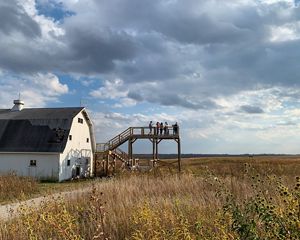 A white barn and wooden overlook platform in a field of native grasses.