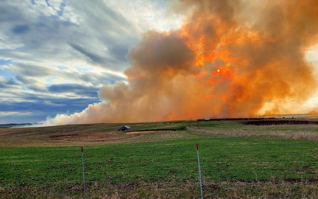 A prescribed fire burns on an open prairie.