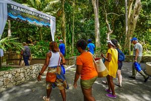 A group of people walk in the jungle.