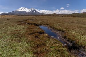 Área de conservación hídrica de Paluguillo, Quito, Ecuador.