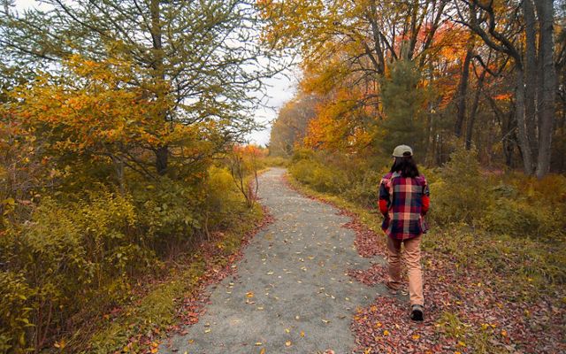 A person walks along a path surrounded by fall foliage.