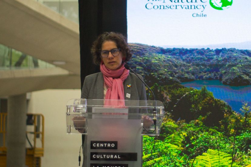 Maisa Rojas, ministra del Medio Ambiente