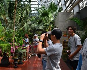 A group of young people exploring a conservatory.
