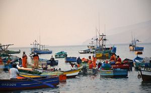 a group of fishers in small fishing boats on the water