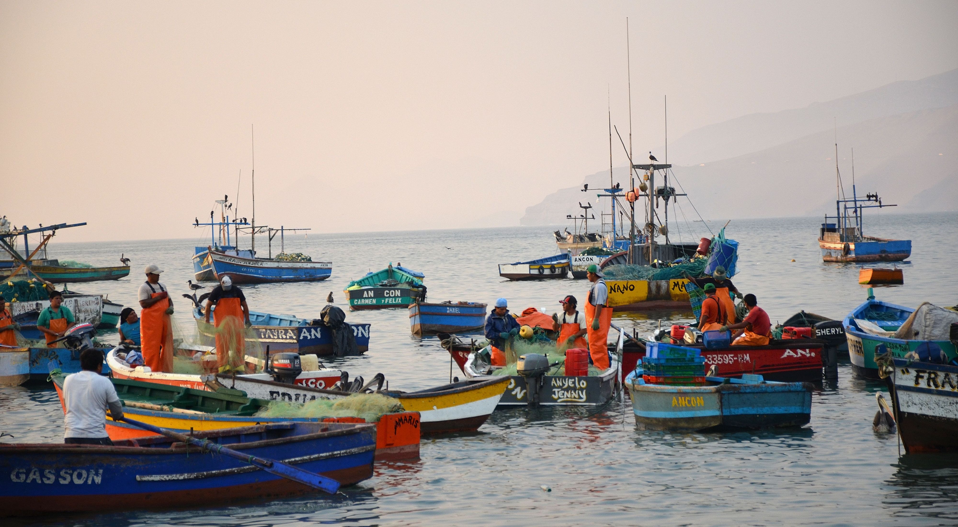 un grupo de pescadores en pequeños barcos pesqueros en el agua