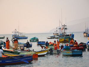 a group of fishers on small boats in the port of Ancón, Peru