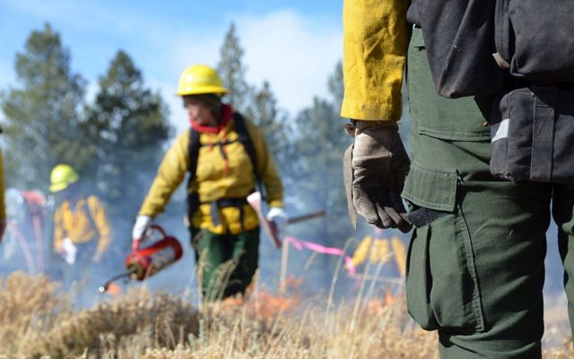 A prescribed fire crew monitors a prescribed burn in a field.